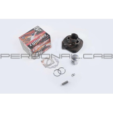 Поршневая (ЦПГ) 2T TB 50, Suzuki RUN (O41, p-10, h-51) SUNY